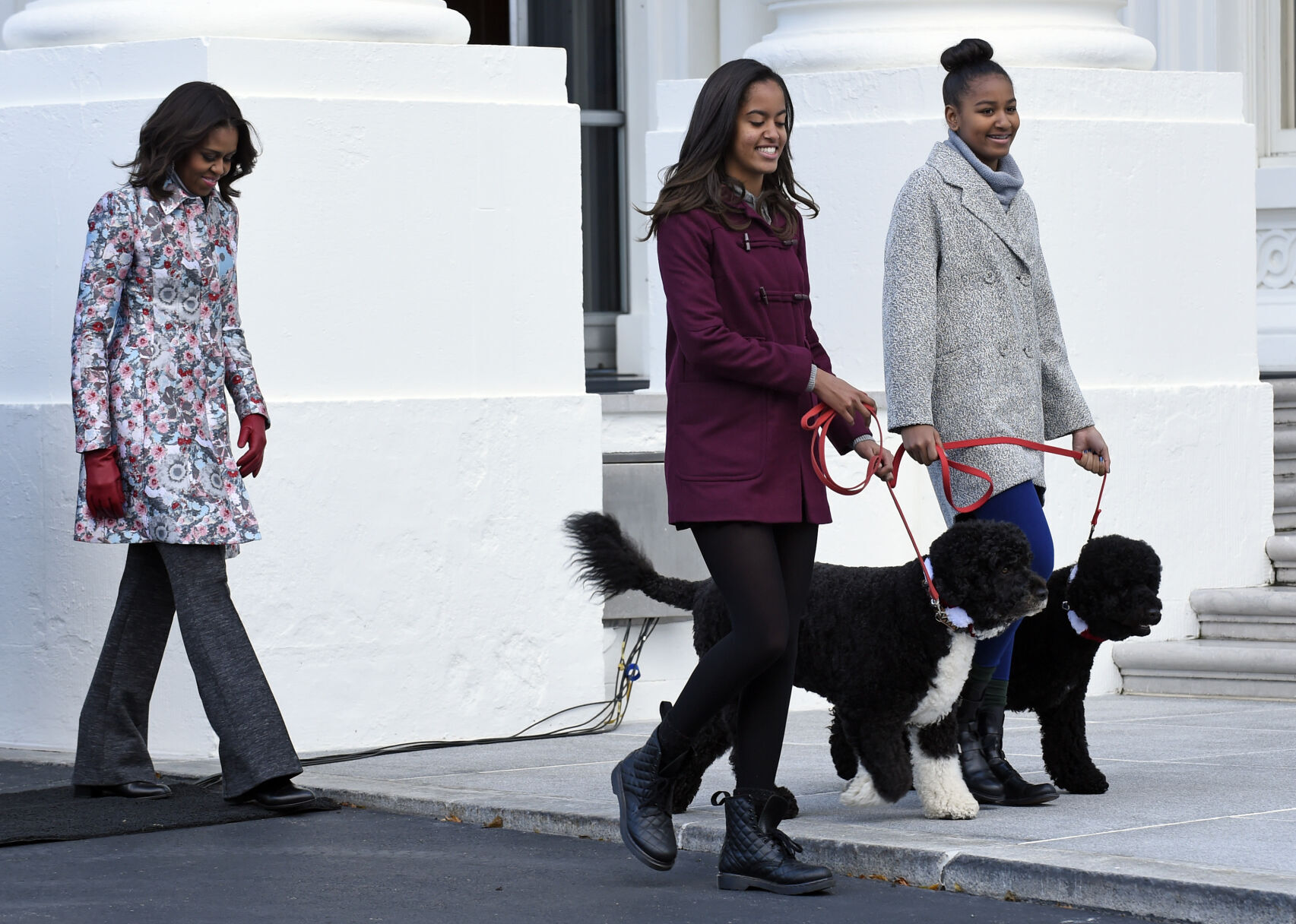 Obama Dog